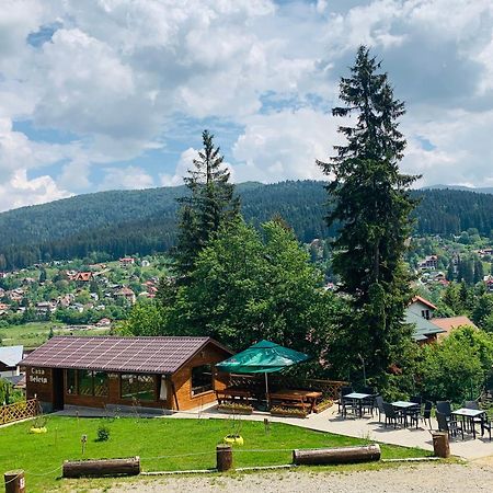 Casa Belcin Spa&Retreat Szászbuda Kültér fotó