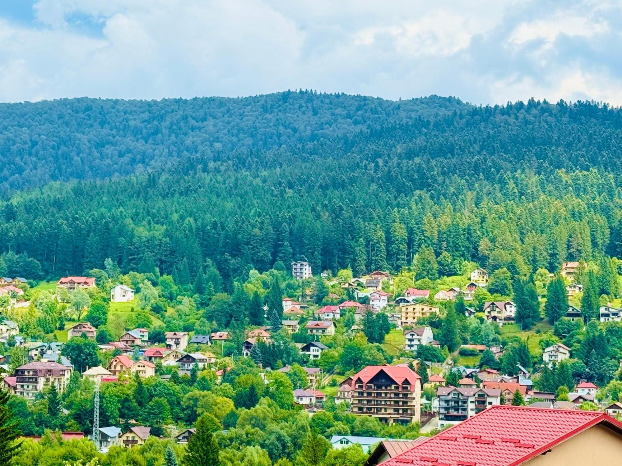 Casa Belcin Spa&Retreat Szászbuda Kültér fotó